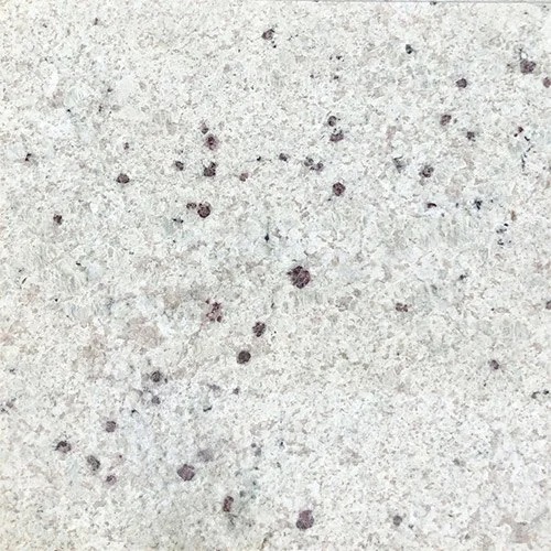 Kashmir White 